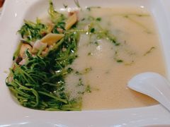 -陶缘一号·四季缘·老字号顺德菜·户外婚礼家宴(西滘店)