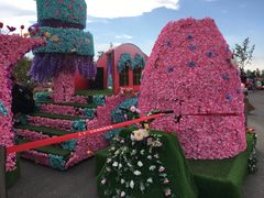 -荷兰花海