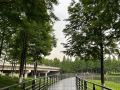 -桐乡凤凰湖