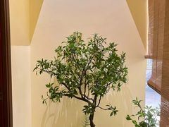 -静耳元気采耳·按摩·SPA(万象前海店)