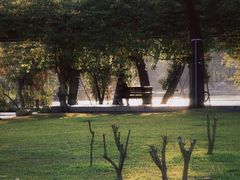 -荔枝公园(福田区)