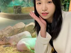 -萌宠奇缘
