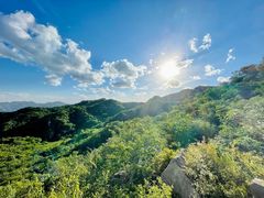 -大岭沟猕猴桃谷风景区