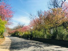 -万达广场(泰安泰山店)