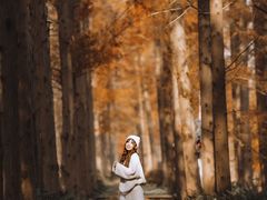 -黄海国家森林公园