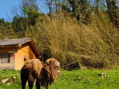 -武陵山森林公园