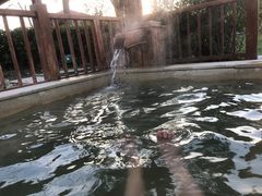 -思念果岭悦温泉