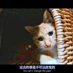 -飛凡TATTOO纹身•原创