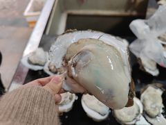 -南沙十九涌渔人码头-南门