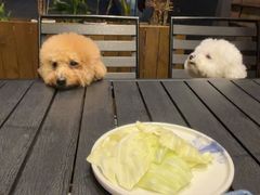 -鸟鹏烧鸟居酒屋(龙岗万科店)