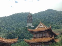 -深圳仙湖植物园