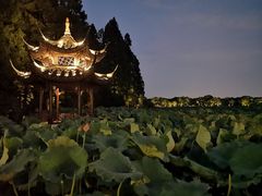 -西湖游船
