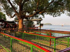 -西湖外事游船(花港观鱼码头)