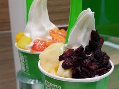 -Salud撒露欧洲冻酸奶(蓝色港湾店)