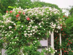 -太阳宫公园