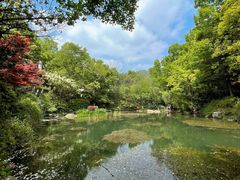 -杭州半山国家森林公园