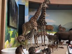 -陕西自然博物馆