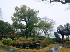 -杭州西湖柳莺里酒店