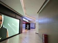 -合景·悠方(成都店)