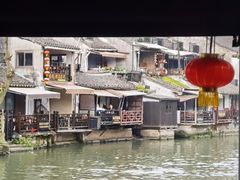 -西塘人家•黑金冠本地好店