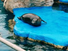 -华夏文旅海洋公园