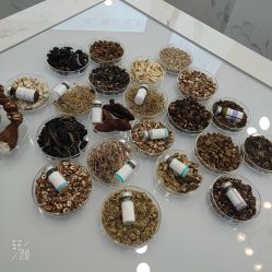 -采之汲·云南白药集团