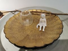 -猫里有甜
