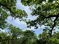 -牛背梁国家森林公园