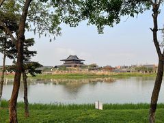 -海珠湖公园