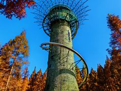 -黄海国家森林公园