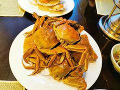 -百香自助餐厅·西安唐隆国际酒店(曲江店)