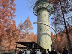 -黄海国家森林公园