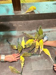 -酷嗒动物文化乐园(cutezoo西溪乐天城店)