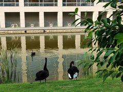 -厦门国家会计学院