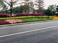 -厦门高崎国际机场-T3航站楼