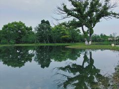-良渚古城遗址公园