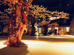 -蓝鲸湾汤泉(包河店)