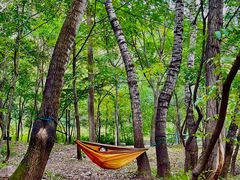 -玉渡山自然风景区