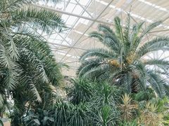 -祥源·阜阳生态乐园