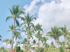 -三亚亚龙湾天域度假酒店