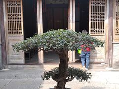 -个园