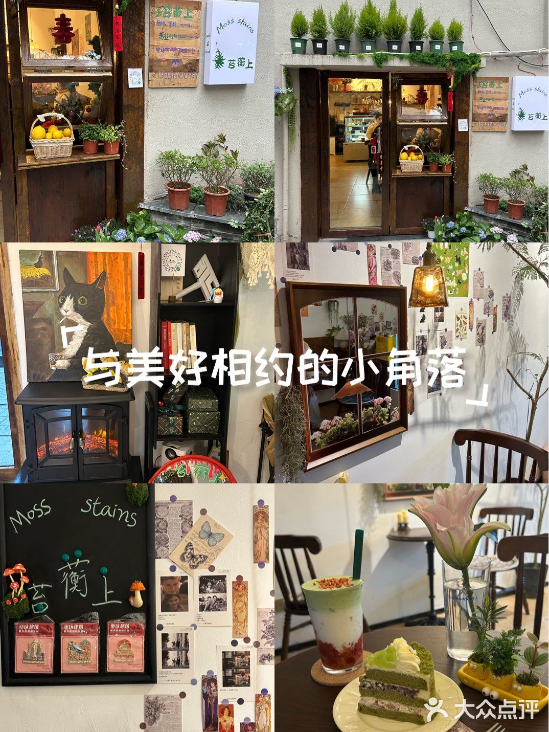 重庆的。。鲤鱼池甜品新店🍃