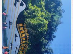 -西双版纳原始森林公园