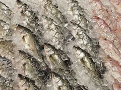 -AEON永旺(东方宝泰店)