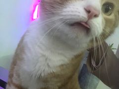 -极木²邸 人与宠物·互动社区
