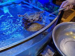 -七欣天香辣蟹火锅(上海奉贤杭州湾生活广场店)