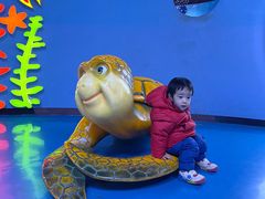 -泉城欧乐堡海洋极地世界