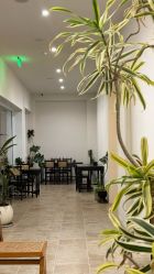 -WAVE SODA摄影工作室