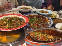 -新概念来凤鱼(璧山店)