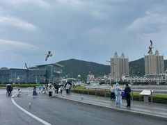 -星海广场